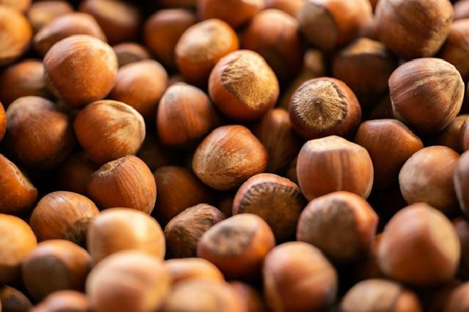 Hazelnut - a short story by The Freudian Couch